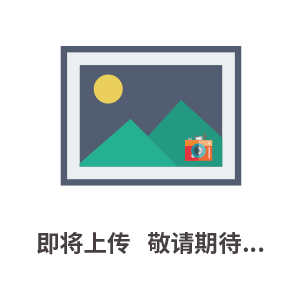 插接式 法兰机